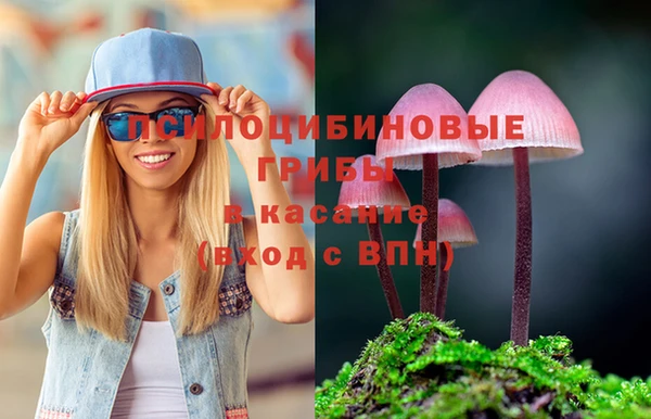соль курить ск Армянск