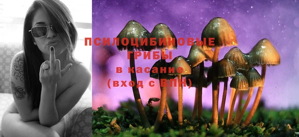 таблы Аркадак