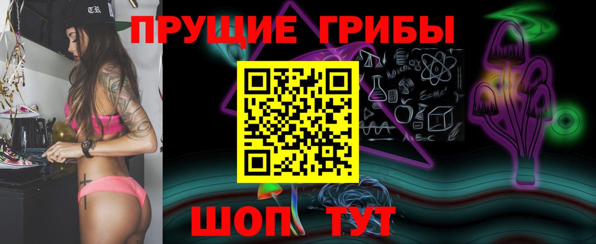 Галлюциногенные грибы Cubensis  Вход с VPN  Тула 