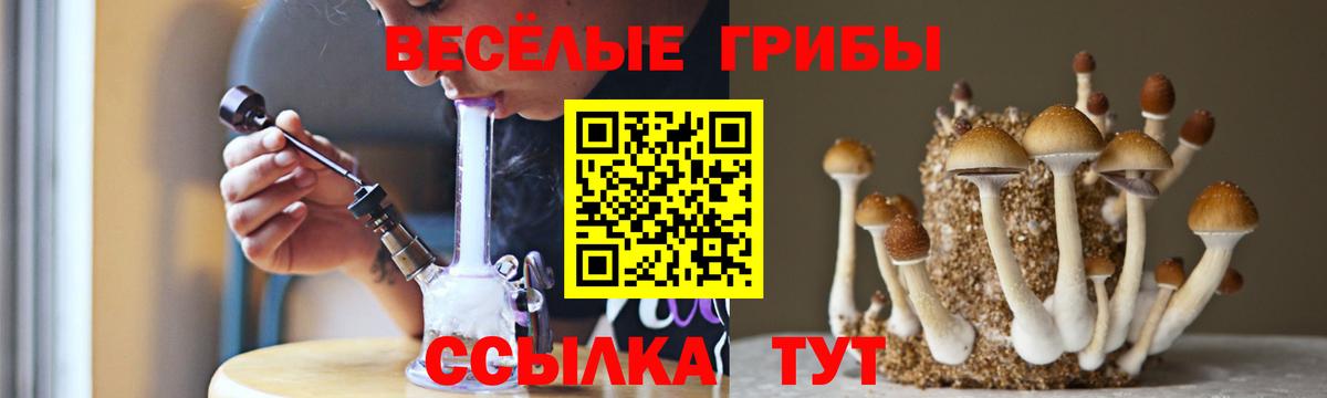 Псилоцибиновые грибы Magic Shrooms Тула