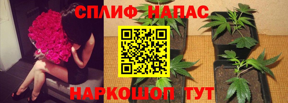 Конопля Amnesia  Вход с VPN  Тула  Бошки Шишки MAZAR  МАРИХУАНА Ganja 